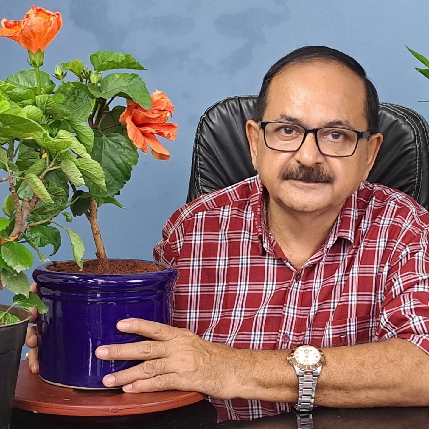 Gardening Consultation – 15 min Video Call