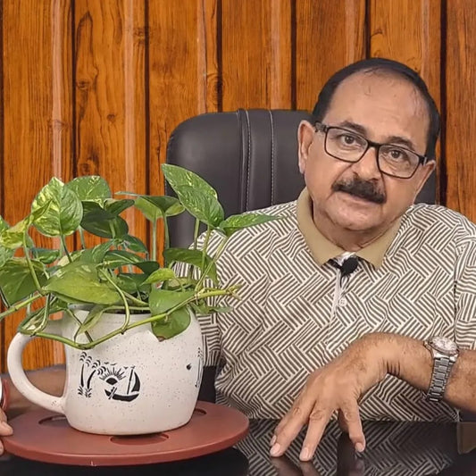 15-min Quick Plant Help (Call)