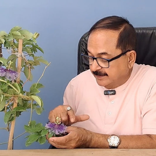 Gardening Consultation – 15 min Video Call