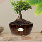 Handmade Dark Brown Ceramic Pot / Bonsai Pot
