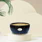Handmade Black Ceramic Pot / Bonsai Pot