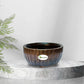 Handmade Brown Ceramic Pot / Bonsai Pot