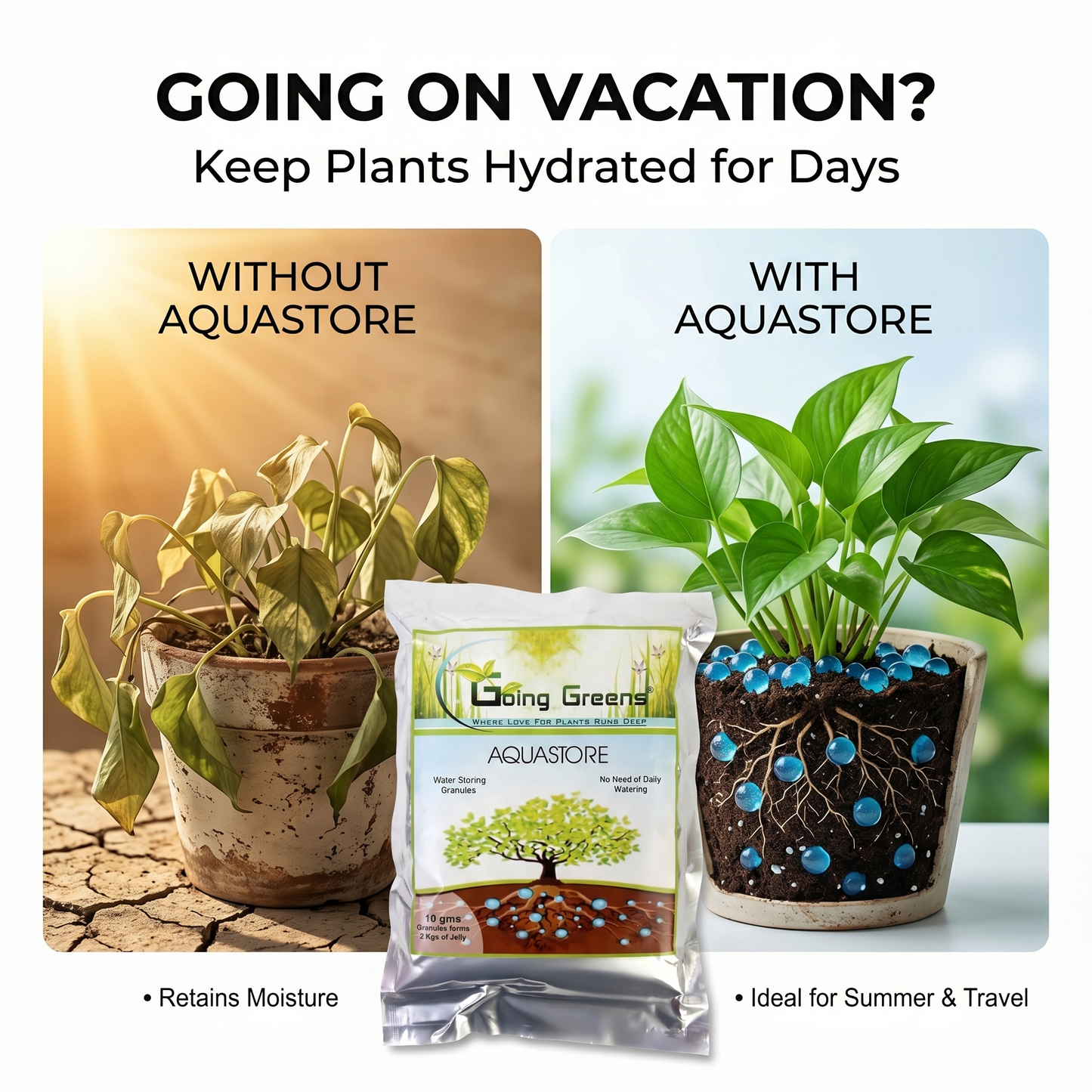Aquastore Soil Water Retention Granules for Plants (200g)