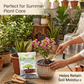 Aquastore Soil Water Retention Granules for Plants (200g)