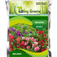 Balsam Flower Seeds