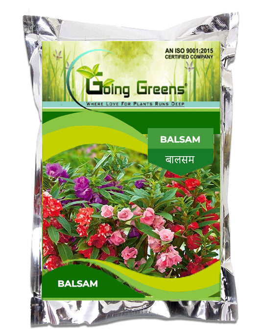 Balsam Flower Seeds