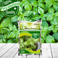 Basil Green Seeds