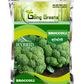 Hybrid Broccoli- Green Giant Seeds