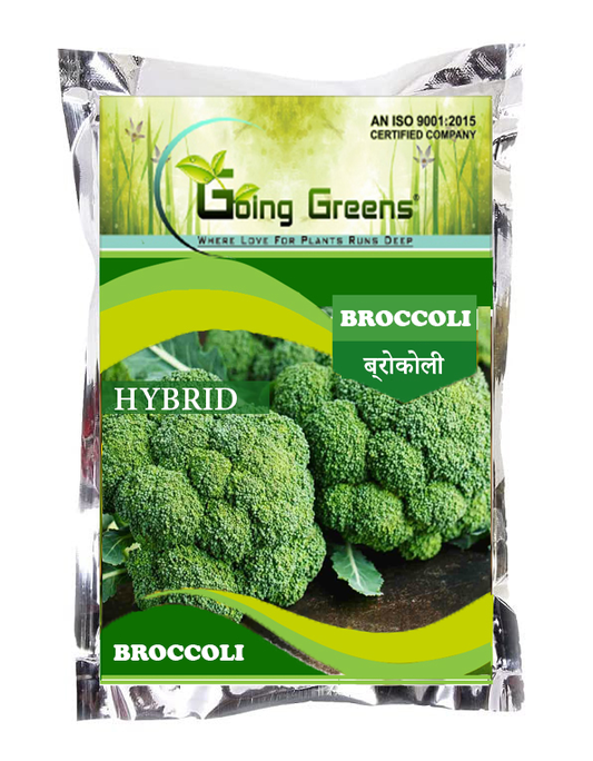 Hybrid Broccoli- Green Giant Seeds