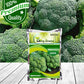 Hybrid Broccoli- Green Giant Seeds
