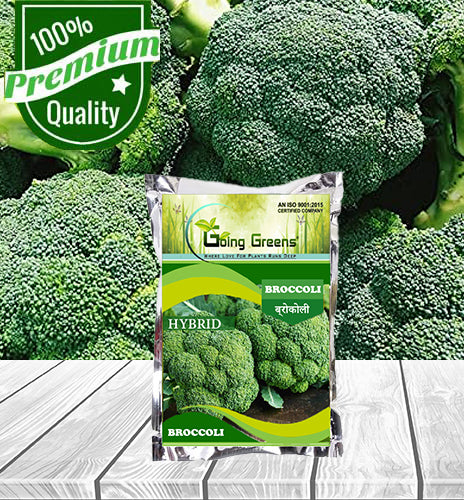 Hybrid Broccoli- Green Giant Seeds