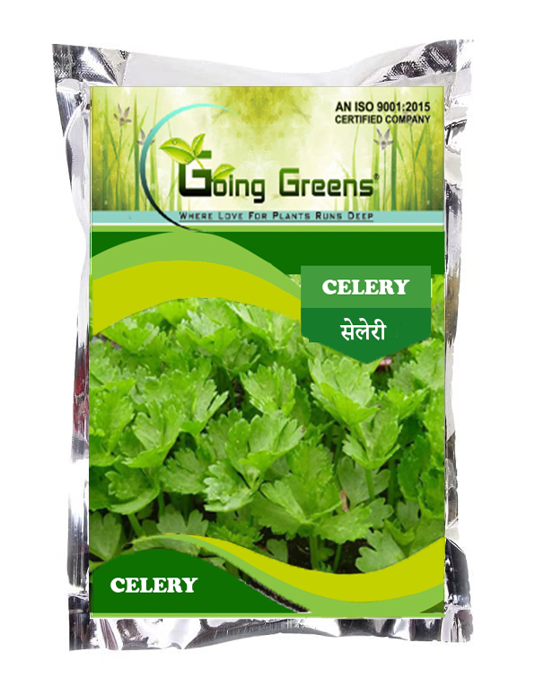 Celery F1 Tallutah Seeds