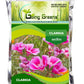 Clarkia Flower Seeds
