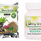 Combo of 2 - Bonsai Potting Soil Mix & Rootex Rooting Harmones Powder