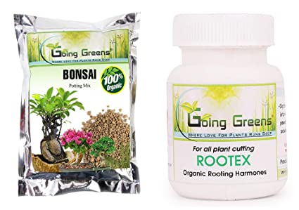 Combo of 2 - Bonsai Potting Soil Mix & Rootex Rooting Harmones Powder