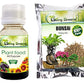 Combo of 2 - Plant Food & Bonsai Potting Mix