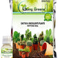Combo of 2 - Plant Food + Cactus & Succulent Potting Mix