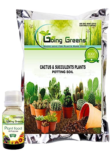 Combo of 2 - Plant Food + Cactus & Succulent Potting Mix
