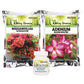 Combo - Bougainvillea Bloom Booster, Adenium Bloom Booster & Rootex