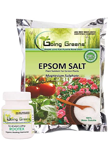 Combo of Epsom Salt 900 GMS & Rootex 25 GMS