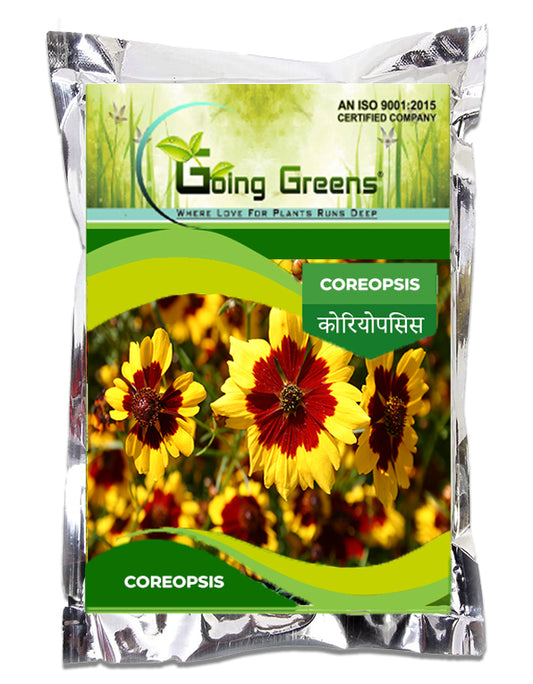 Coreopsis Flower Seeds