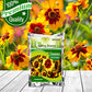 Coreopsis Flower Seeds