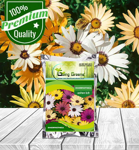 Dimorphotheca Seeds Collection Dimorphotheca Flower Seeds – Going Greens