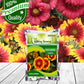 Gaillardia Flower Seeds