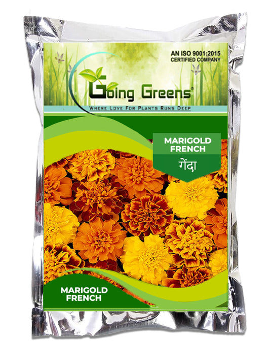 Marigold french Flower Seeds