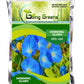 Morning Glory Flower Seeds