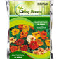 Nasturtium Alaska Flower Seeds