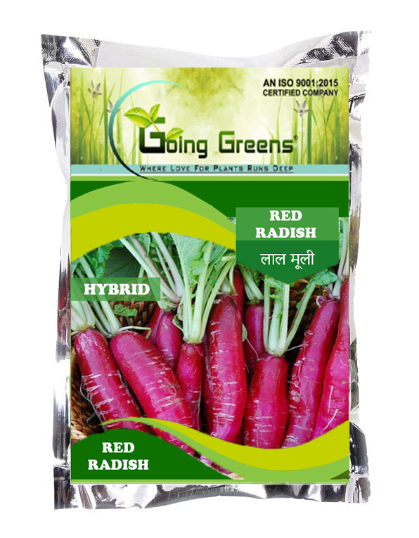 Hybrid Red Radish Seeds – Going Greens