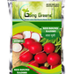 Hybrid Red Round Radish Seeds