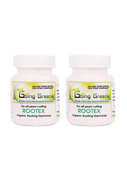 Rootex, Rooting Hormone Powder – Going Greens