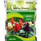 Salvia Flower Seeds