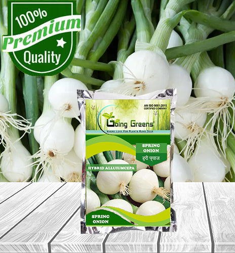 Hybrid Spring Onion- Allium Cepa Seeds