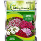 Sweet Willam Flower Seeds