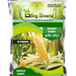 Sweet Corn F1 Hybrid Seeds