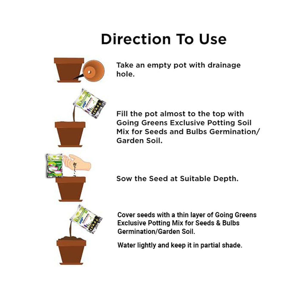 Hybrid Turnip  Seeds