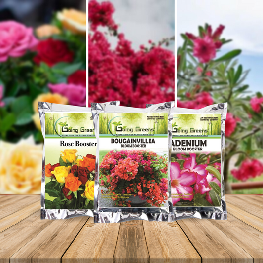 Bloom Boosters Combo of 3 - Bougainvillea Bloom Booster, Adenium Bloom Booster & Rose Booster