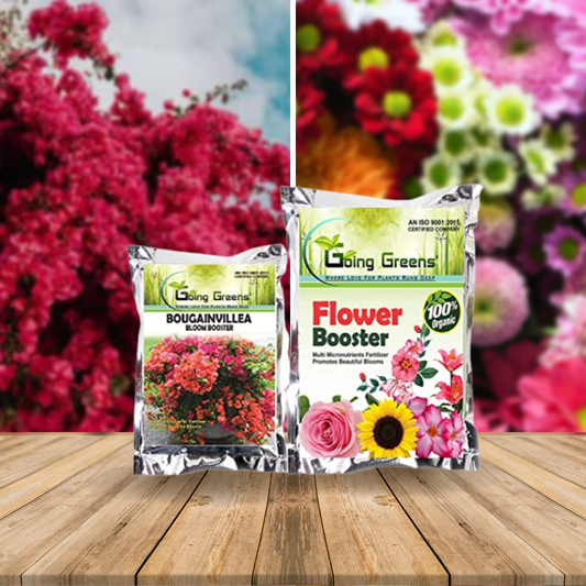 Combo - Bougainvillea Bloom Booster & Flower Booster