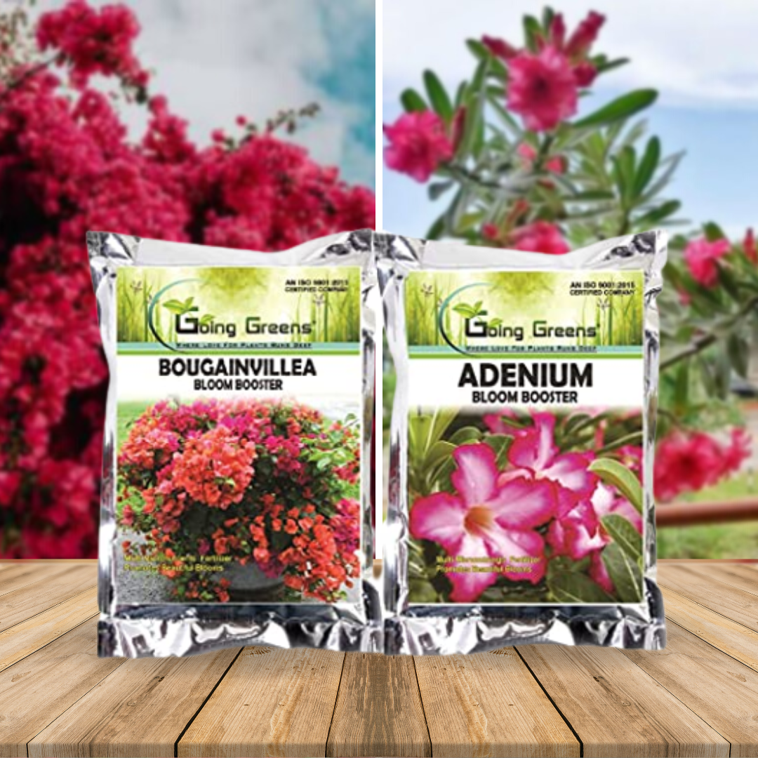 Combo - Bougainvillea Bloom Booster  & Adenium Bloom Booster