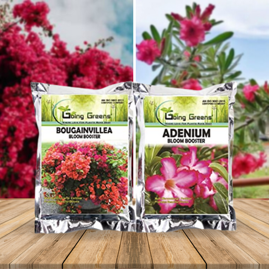 Bloom Booster Combo of 2 - Bougainvillea Bloom Booster & Adenium Bloom Booster