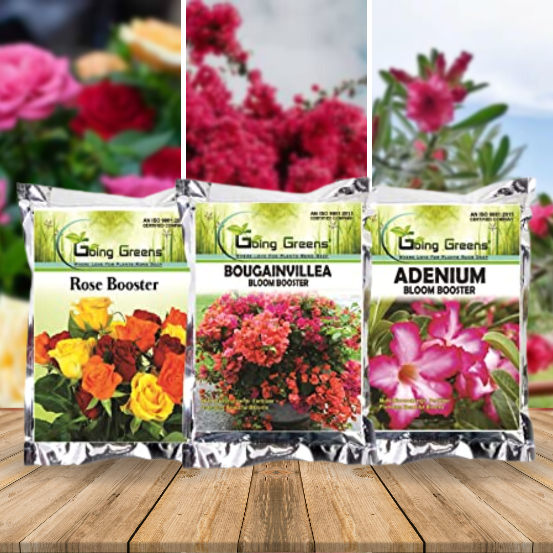 Bloom Booster Combo of 3 - Adenium Bloom Booster, Bougainvillea Bloom Booster & Rose Booster