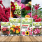 Bloom Boosters Combo of 4 - Bougainvillea Bloom Booster, Adenium Bloom Booster, Rose Booster & Flower Booster