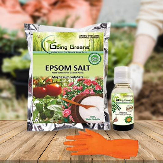 Combo of 3 - Epsom Salt, Arishtha Neem Oil & Orange Hand Gloves