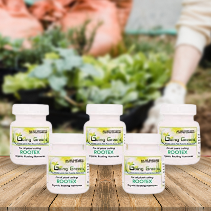 Rootex, Rooting Hormone Powder – Going Greens