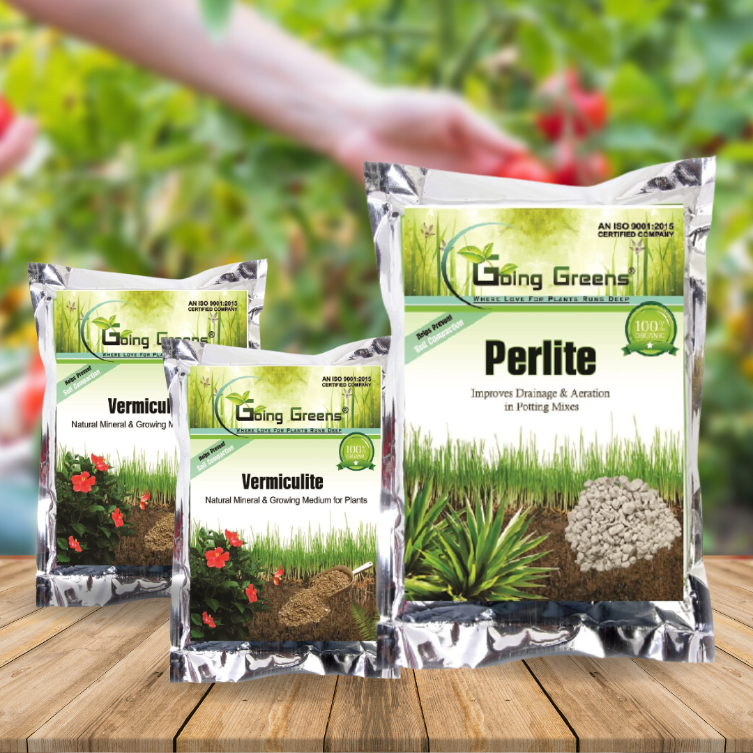 Combo of 2 - Vermiculite & Perlite