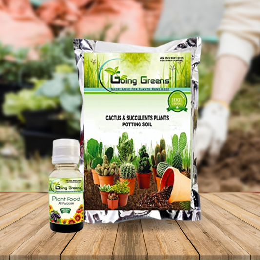Combo of 2 - Plant Food + Cactus & Succulent Potting Mix