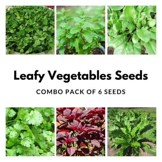 Leafy Vegetables Seeds Combo Pack